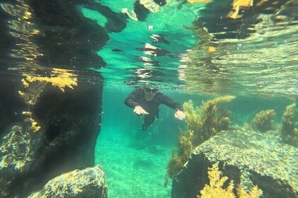 Nha Trang Half-Day Snorkeling Adventure at Marine Park with BBQ