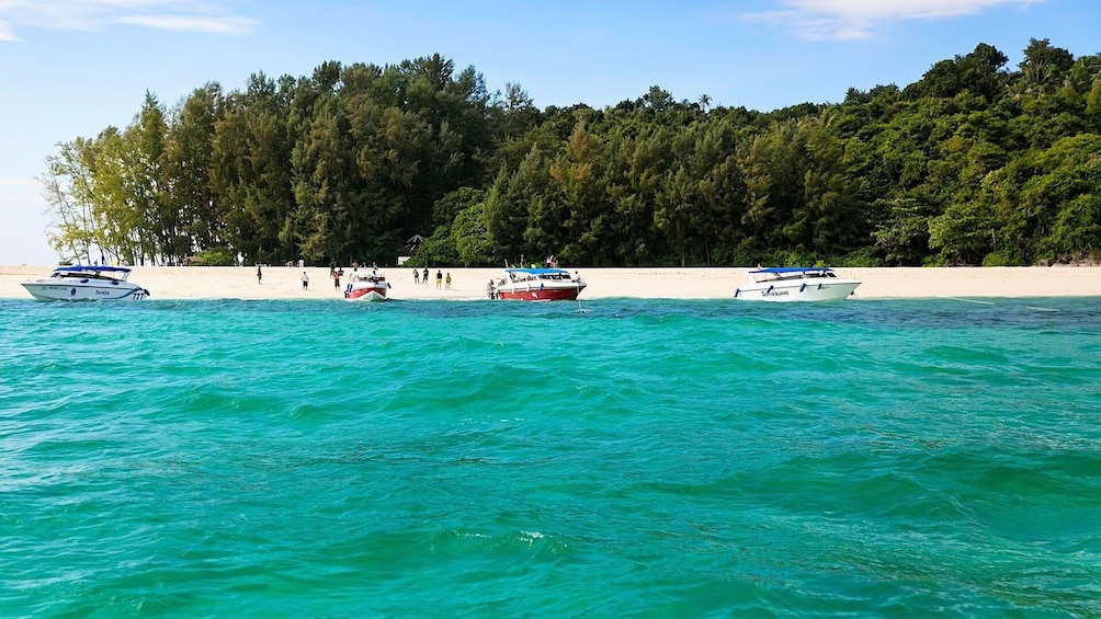 Phi Phi Island Snorkel Tour from Krabi by Sea Eagle