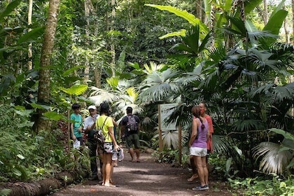 Educative Forest and Game DE Tahiti West Coast