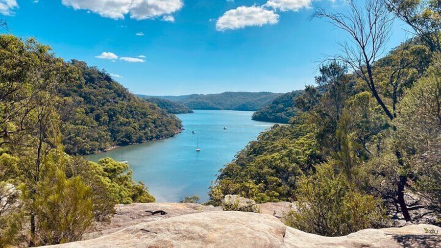 Ku ring gai National Park Hike with Beach and Picnic