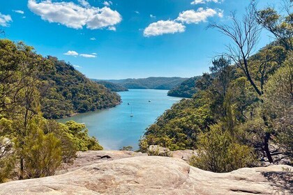 Sydney: Ku ring gai National Park Hike with Beach and Picnic