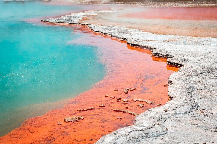 Marvel at the world famous Champagne Pool 