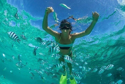 Incredible North Tour Including Balaclava Marine Park and Lunch