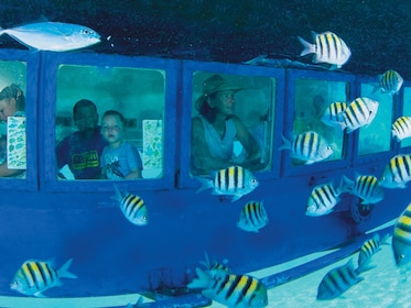 Cancun Hop-on Hop-off City Tour plus Submarine or Flowrider Surf Experience