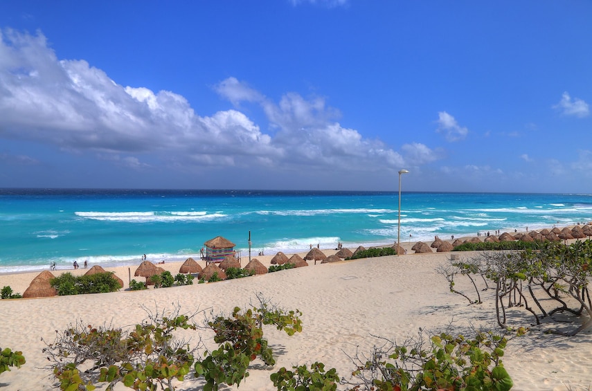 Cancun Hop-on Hop-off City Tour plus Submarine or Bodyboard Experience