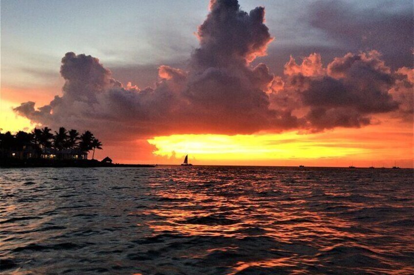 Captain Stewys most affordable private sunset cruise in Key Largo
