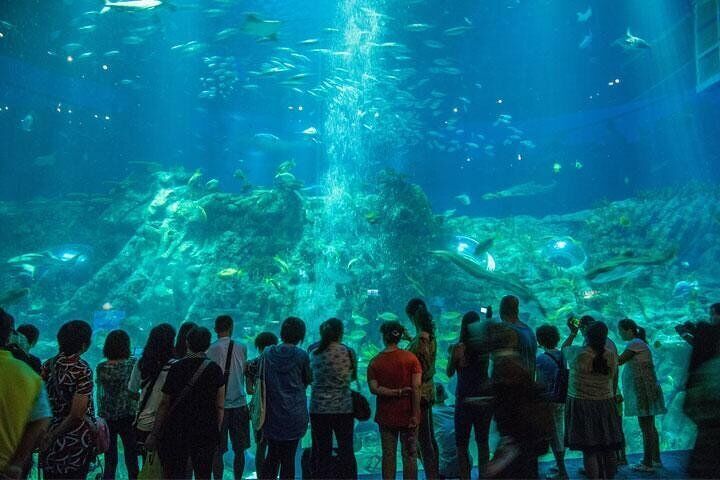 Hong Kong Ocean Park