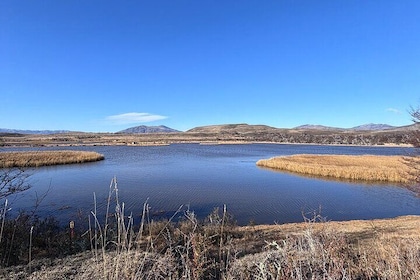 Bird Watching and Fauna in Chilean Patagonia Private Tour