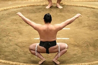 Tokyo Shinjuku Sumo Show and Experience with Drinks and Photo