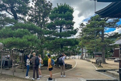 All-Inclusive Kyoto Day Tour: Amanohashidate, Miyama or Ohara