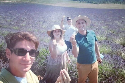 Lavender Discovery Private Tour in Provence