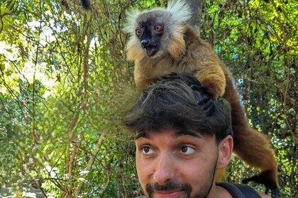 Lokobe Tour: Pirogue, Lemur Forest and Malagasy Lunch