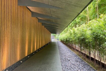 The Art of Beauty in Omotesando's Nezu Garden and Beni Museum