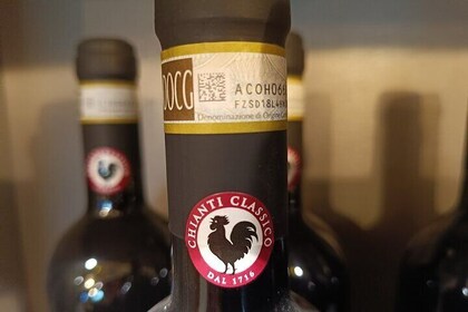 Chianti Classico Wine Tour and San Gimignano Visit Half Day