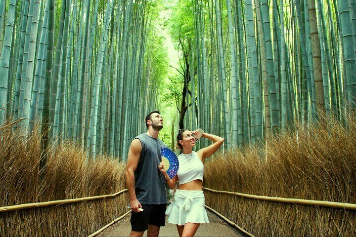 Kyoto: Arashiyama Bamboo Forest, Monkeys, Matcha & Temple Tour
