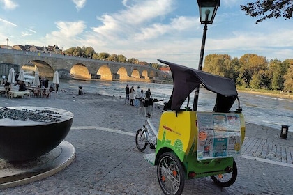 60min Regensburg Rickshaw Pedicab City Excursion stadtführung