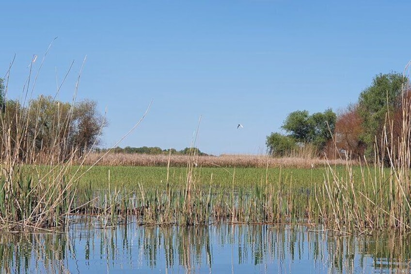 Explore Danube Delta and Black See in 2 Day Private Tour from Bucharest