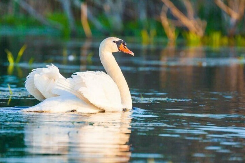 Explore Danube Delta and Black See in 2 Day Private Tour from Bucharest