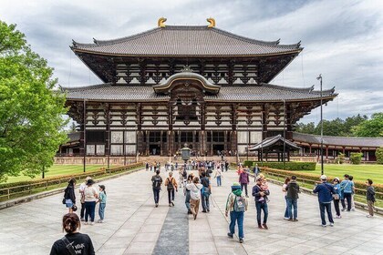 Nara Heritage & Sake Tasting: Private Shore Tour from Osaka Port