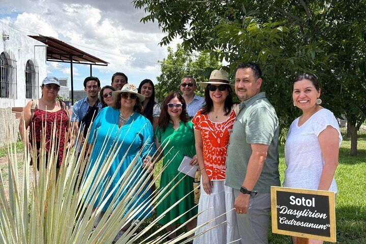 Our visitors knowing the Dasylirion Cedrosanum, scientific name of the Sotol plant