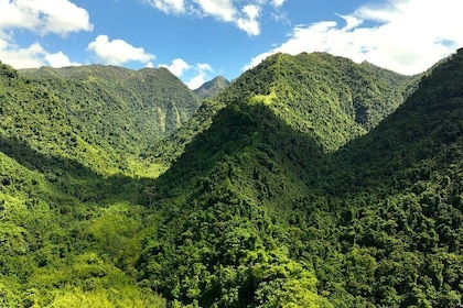 Nature and Biodiversity Immersion Day Tahiti West Coast