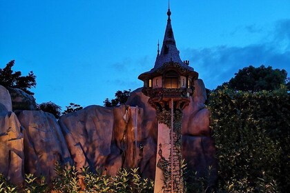 Combo: Disneyland Ticket with Round Trip Transfer