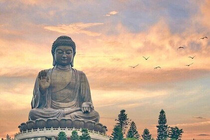 Lantau Enlightenment Group Tour with Tai O Seafood Snacks