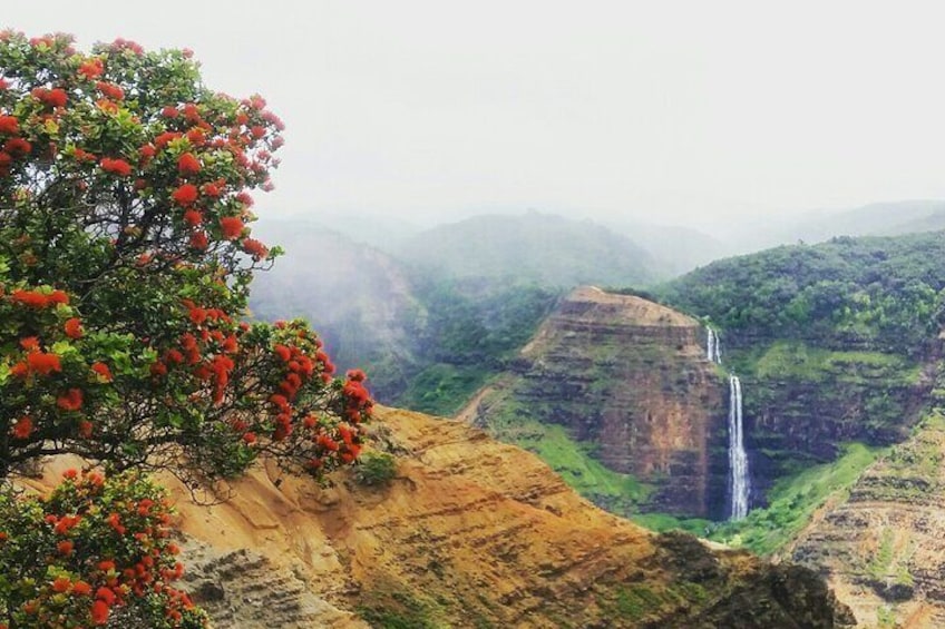 See stunning Waimea Canyon & 800' Waipoʻo Falls