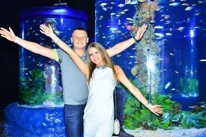 Hurghada Grand Aquarium Adventure with Convenient Transfers