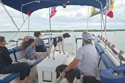 2 Hour Wildlife Adventure