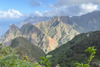 Hiking Tour in Anaga: Taborno Trail with Ocean Views and Pickup