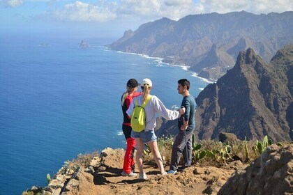 Hiking Tour in Anaga: Taborno Trail with Ocean Views and Pickup