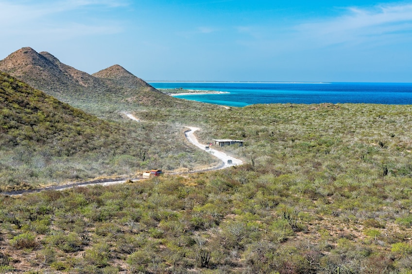 Cabo Pulmo 2-Tank Certified Dive