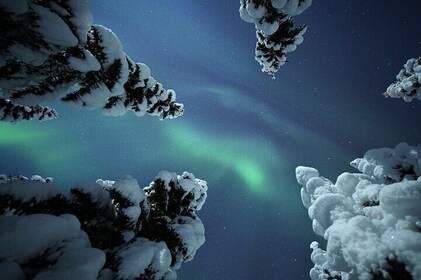 Adults Only Aurora Hunt with Snowshoeing in the wilderness