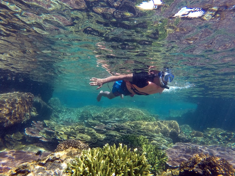 Guest snorkeling at Cabo Pulmo