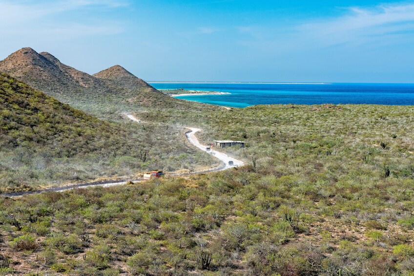 Cabo Pulmo Snorkel Expedition