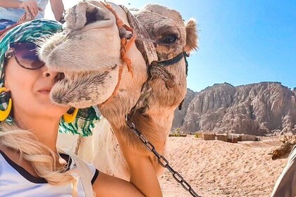 Hurghada Super Desert Safari Quads, Buggy, Jeep and Camel