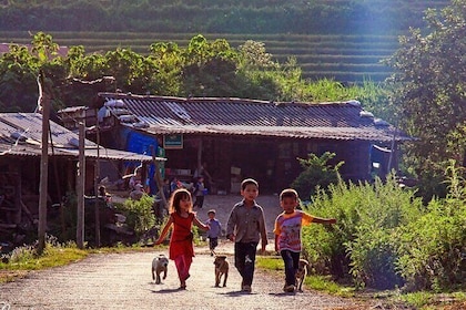 Explore Northern Vietnam in 7 Days: Ninh Binh, Ha Long Bay & Sapa