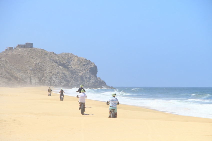 Electric Bike Beach Adventure and Eco-Farm