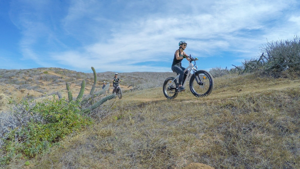 Group tour by electric bike 