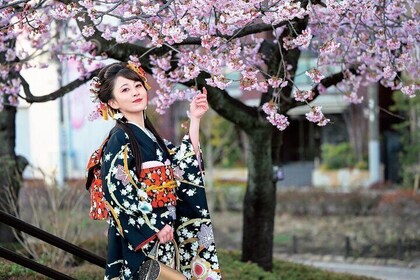 Private Kimono Photoshoot in Asakusa Tokyo