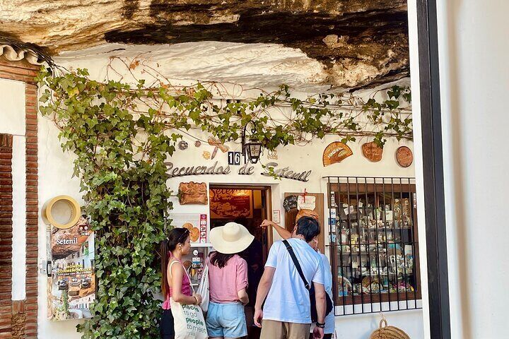 Day in Pueblos Blancos and Ronda from Seville