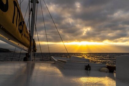 Sunrise Breakfast Tour in Madeira Island