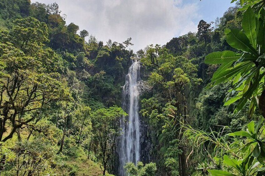 Materuni waterfalls,coffee tour & Kikuletwa(Chemka)Hot Springs