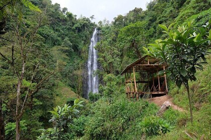 Materuni waterfalls,coffee tour & Kikuletwa(Chemka)Hot Springs