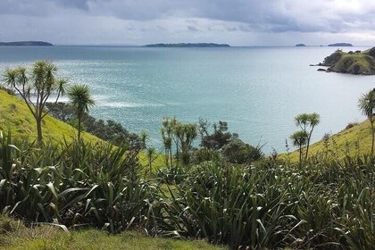 Waiheke Island Self Guided 4 Day Walking Adventure