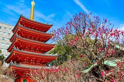 Experience Japan Spirit in Hakata Temple Town