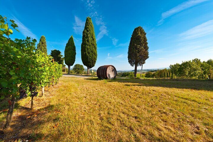 Chianti Delights: Tuscany Private Wine Tour from Florence