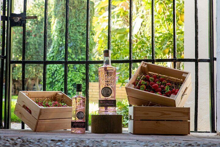 Guided Spanish Tour with 3 GIN Tasting