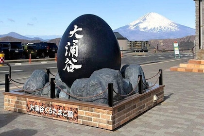 Mount Fuji and Hakone Day Trip with Ropeway Ride